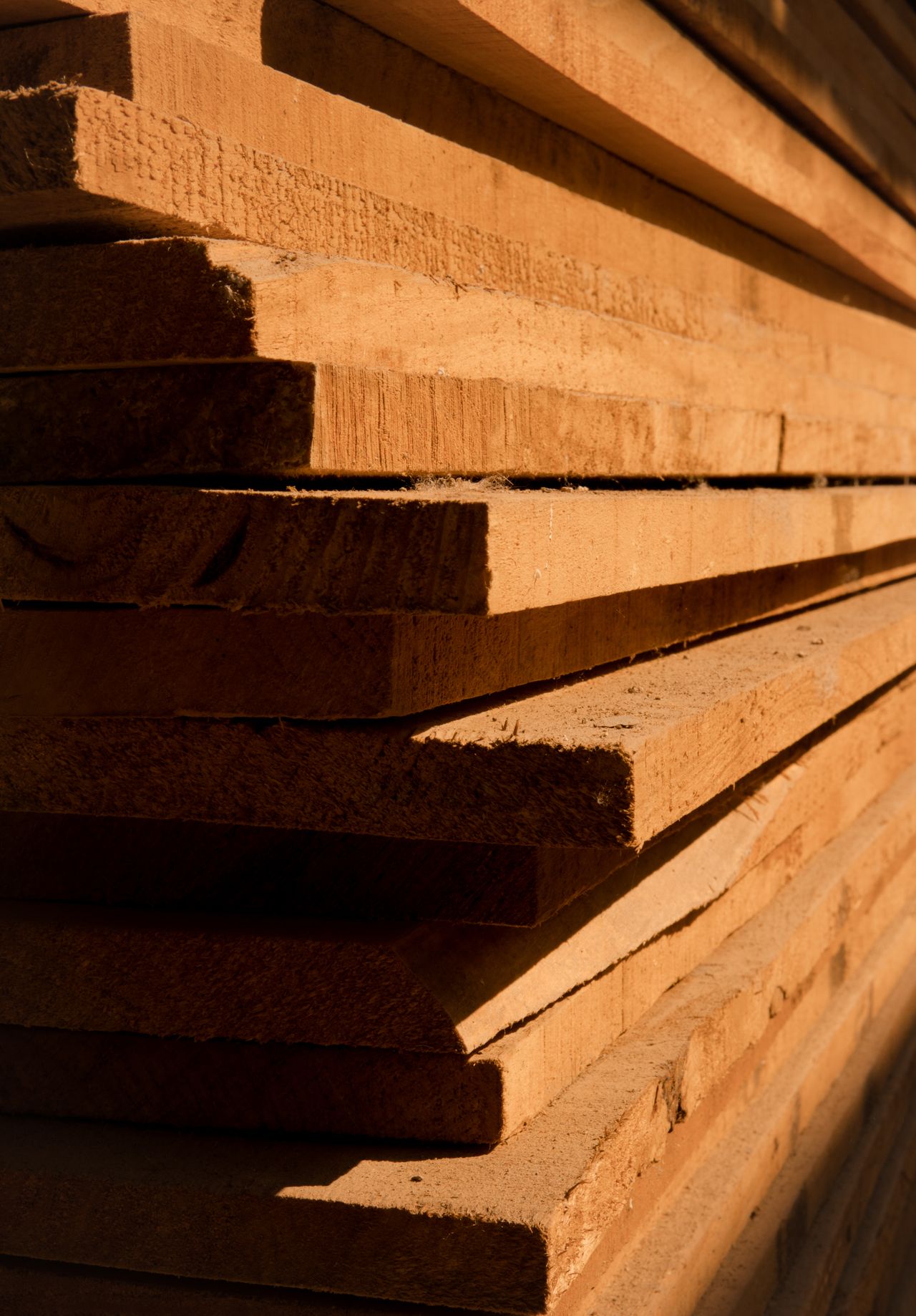 Special Lumber Deals Test Entry